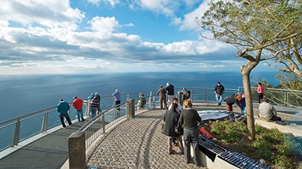 Sergio@Cruises: Baía do Funchal em dia S. Silvestre na Madeira