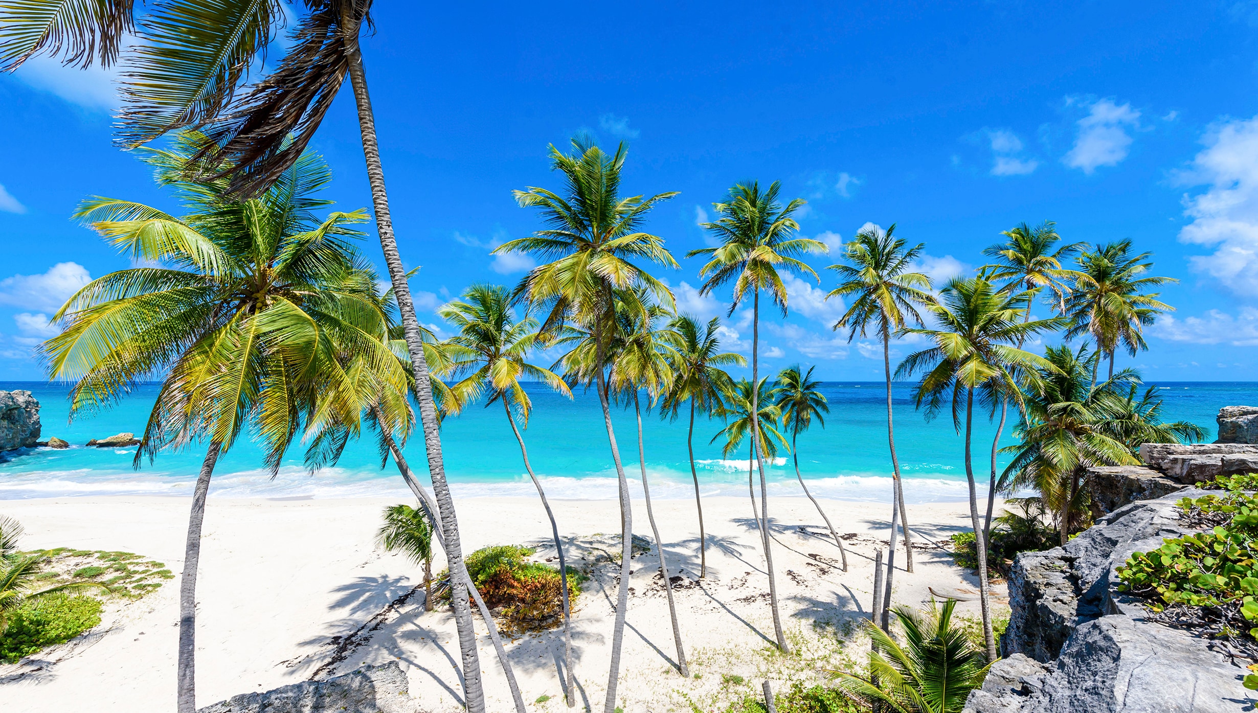MSC Cruises: Best Cruise Holidays and Vacations | MSC Cruises